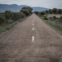 Carretera despejada rodeada de encinas.